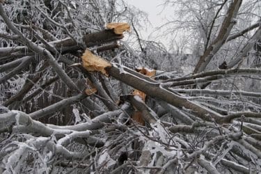 disaster recovery